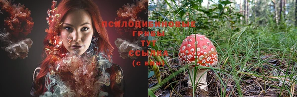 таблы Абинск