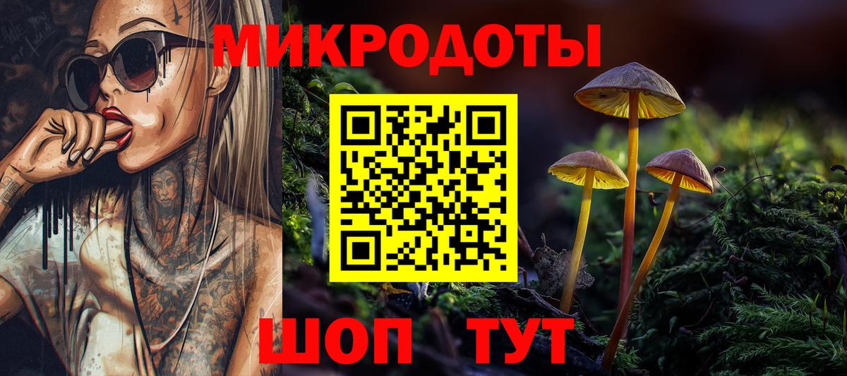 Североморск  Псилоцибиновые грибы прущие грибы  Вход с VPN 