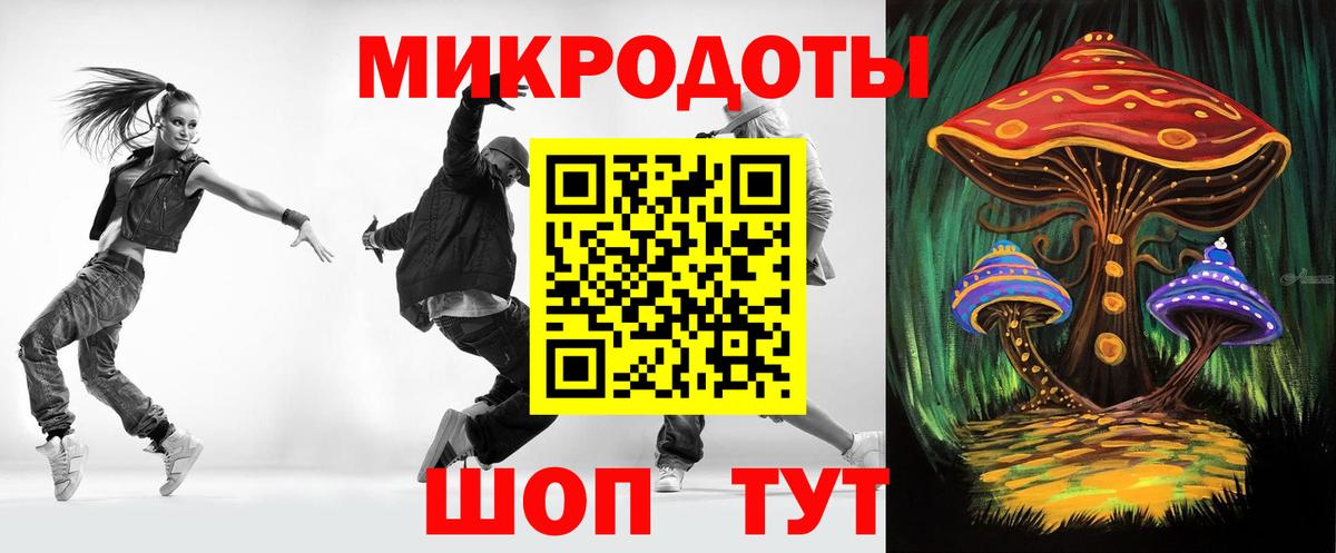 Псилоцибиновые грибы Cubensis Североморск